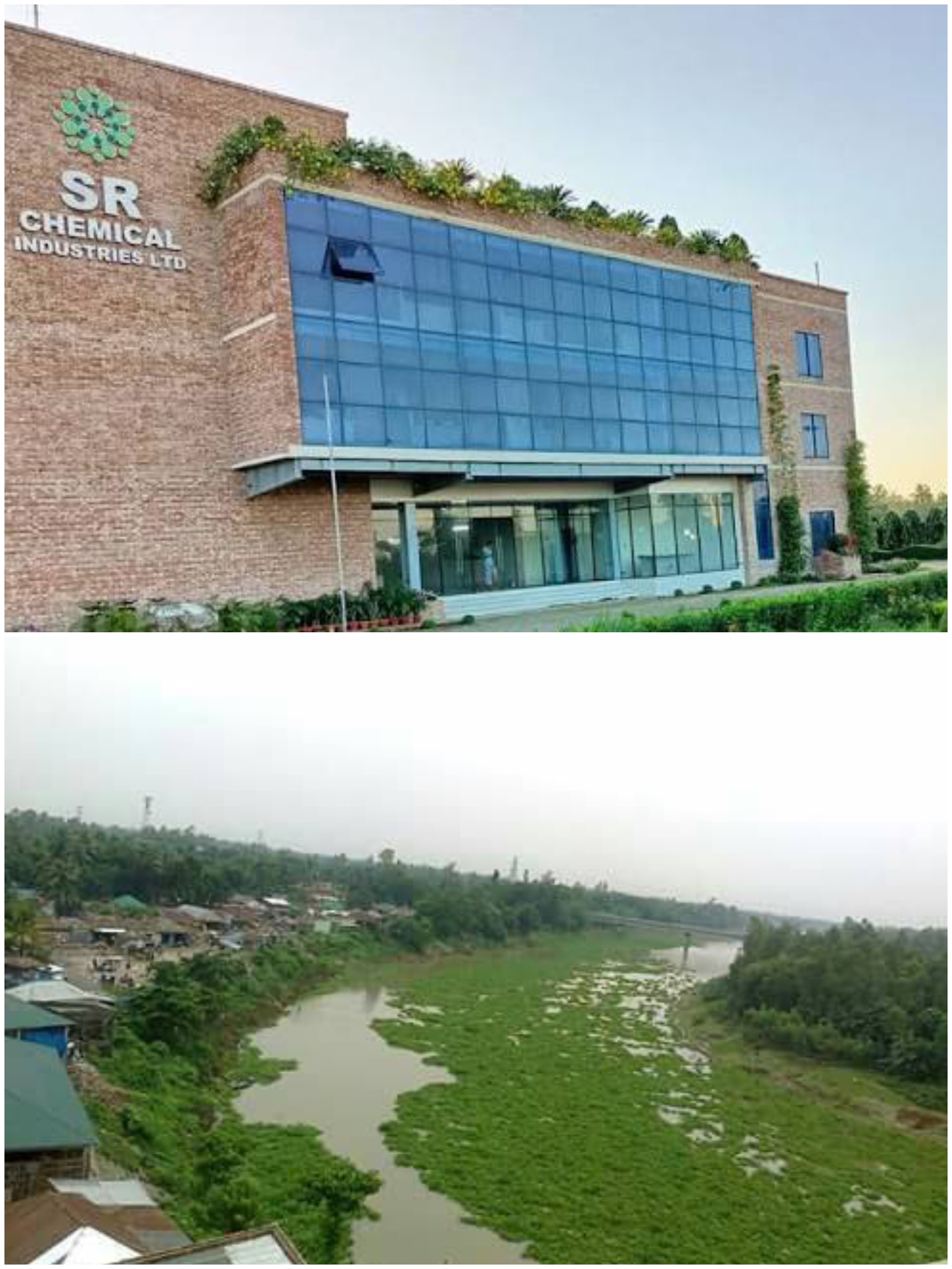 শেরপুরে SR কেমিক্যালের বর্জ্যে নদী দূষণ, মাছ মারা যাচ্ছে, ঝুঁকিতে ২০ লাখ মানুষের কৃষি