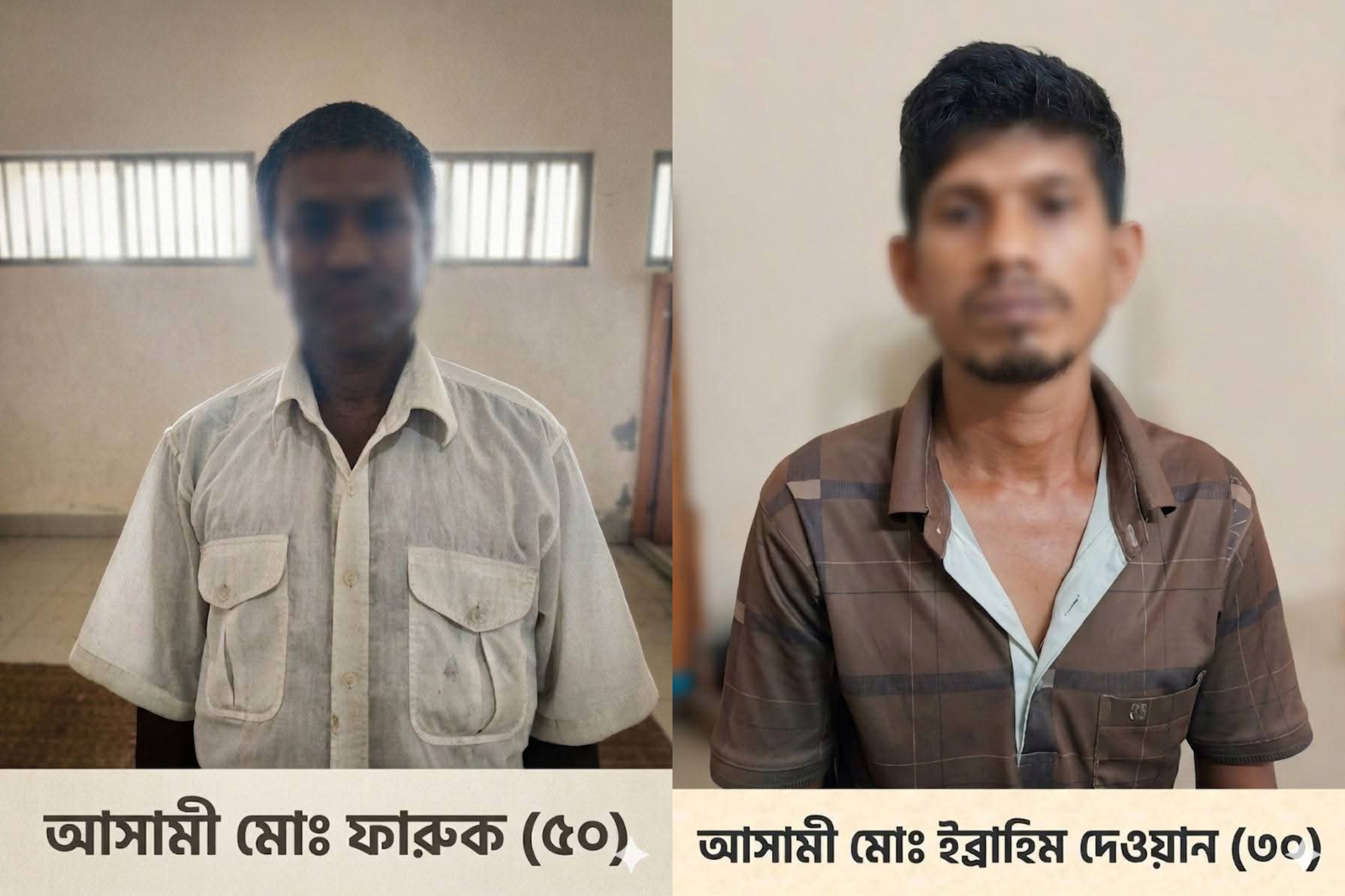 দৌলতখানে শিশুকে দলবদ্ধ ধর্ষণ: দুই আসামি গ্রেফতার