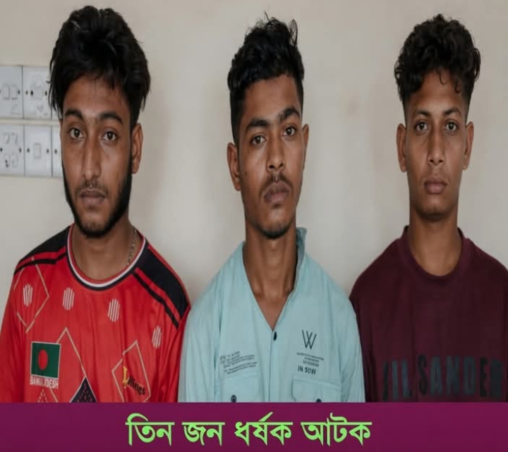 হোমনায় স্বামীকে আটকে রেখে গৃহবধূকে গণধর্ষণ: ৩ জন গ্রেফতার,