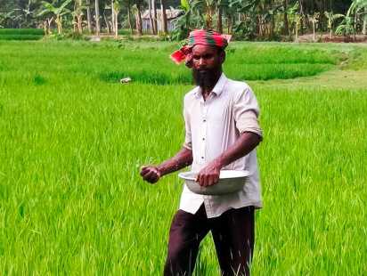 রংপুরে স্বস্তির বৃষ্টি; বোরো চাষে সাশ্রয় হচ্ছে কৃষকের জ্বালানি খরচ