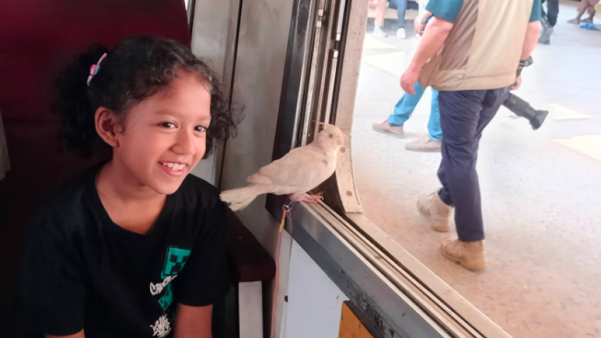 খেলনা নয়, সঙ্গী প্রিয় কাকাতুয়া; ঈদে আরবার অন্যরকম রেলযাত্রা