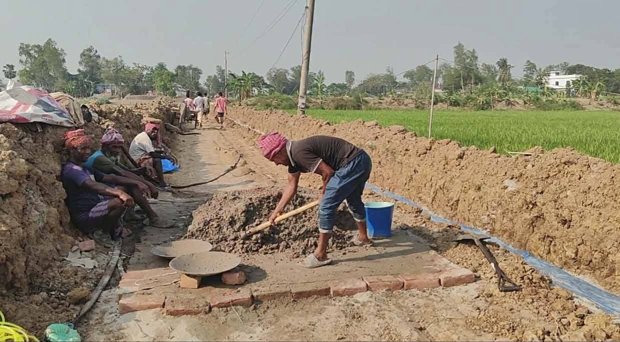 সিংড়ায় রাস্তার কাজে ধীরগতি: ধান কাটা নিয়ে চরম বিপাকে কৃষকরা