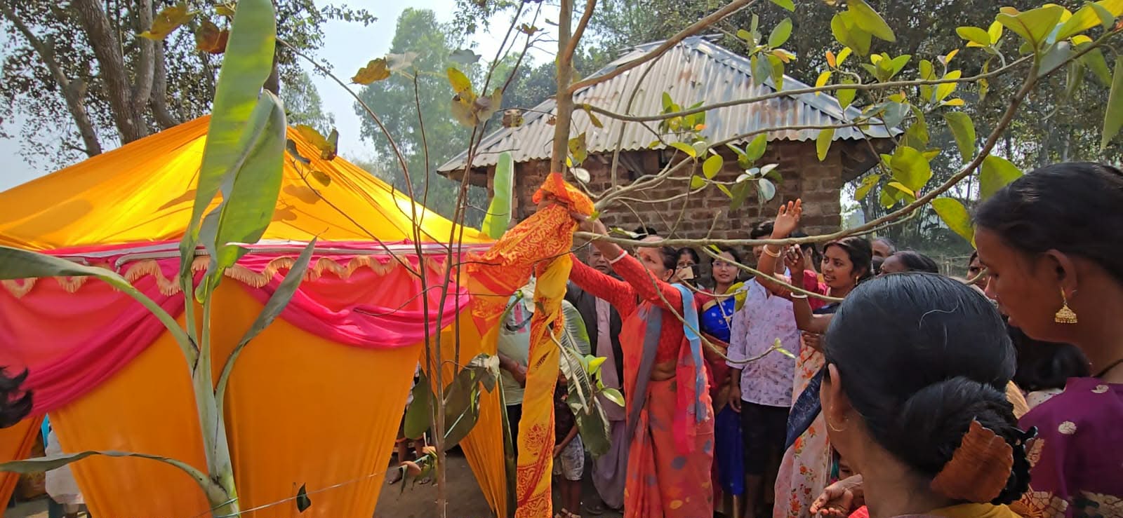 ঠাকুরগাঁওয়ে বিপুল উৎসাহে বট-পাকুড়ের বিয়ে অনুষ্ঠিত