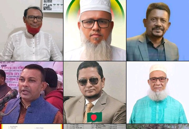 তজুমদ্দিন উপজেলা পরিষদ চেয়ারম্যান পদে নির্বাচনে আলোচনায় যারা