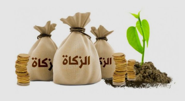 যাকাত : গুরুত্ব ও মাসায়িল