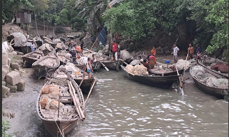 আজ রাত ১২টার পর থেকে পদ্মা-মেঘনায় পুনরায় ইলিশ ধরা শুরু